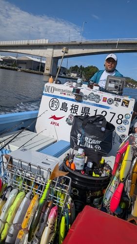 スズキの釣果
