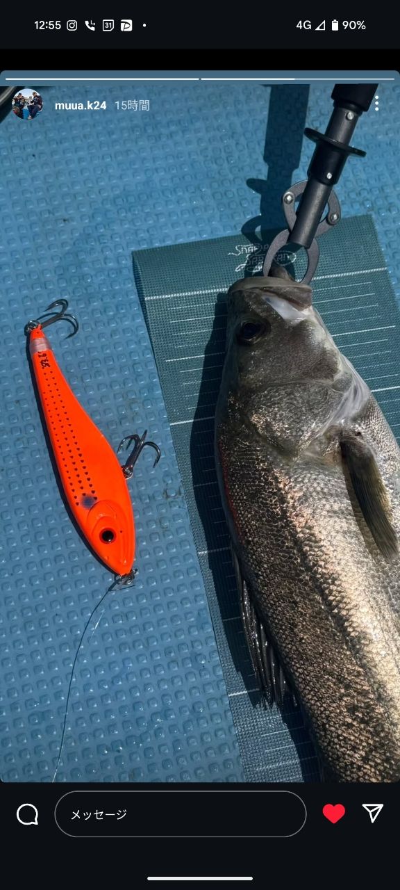 onomichiさんの釣果 2枚目の画像