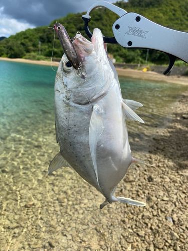 奄美大島