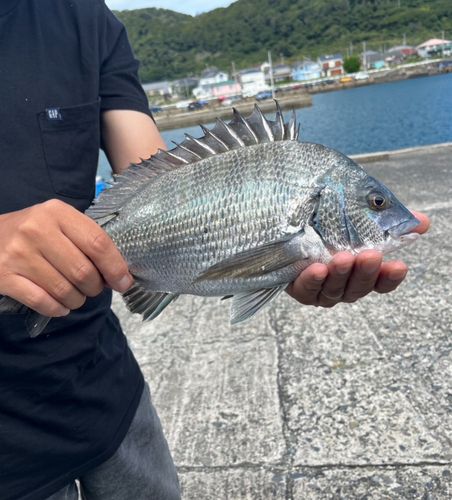 乙浜漁港