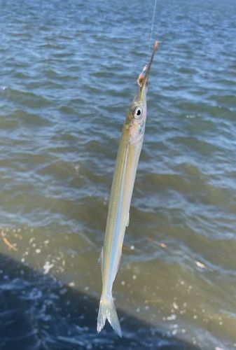 衣浦湾