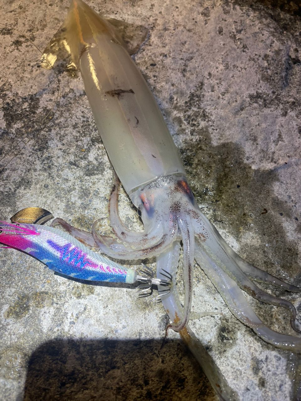 マイカ