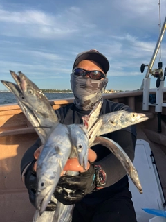 タチウオの釣果