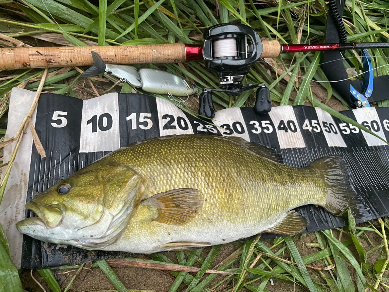SHIMANO 18ワールドシャウラ 1703R-2の最安値・インプレ・釣果