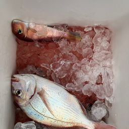 タイ