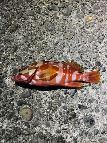 江浦湾