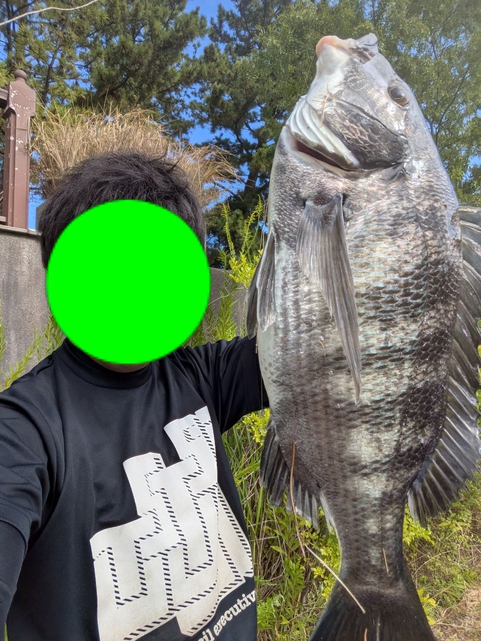 クロダイ