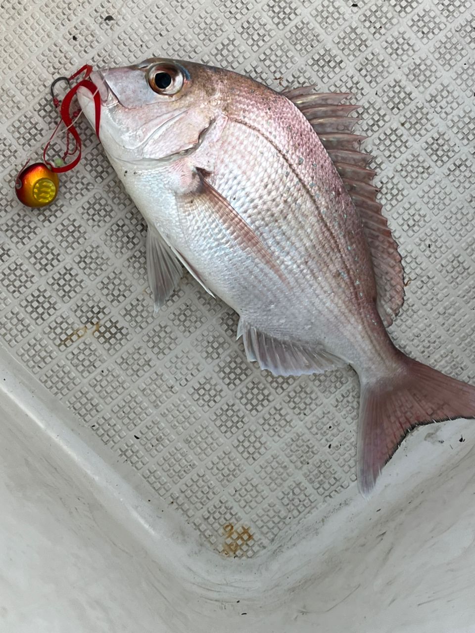 MajorCraft NEW フルソリ ライトジギング FSLJ-B64MLの最安値