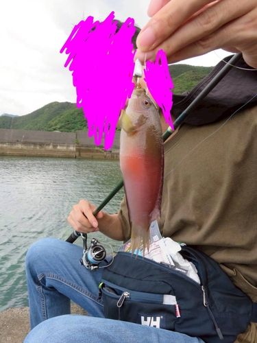 奄美大島