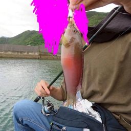 メギス