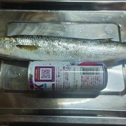 カマス