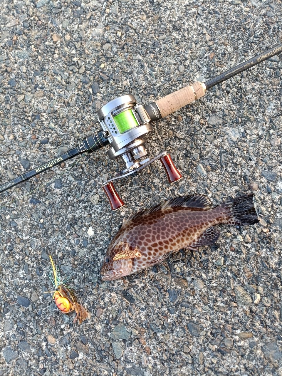 エラディケーターベイトフィネスカスタムAir EBFC-710LT-TZ Eradicator Baitfinesse Custom Air （エラディケーターベイト