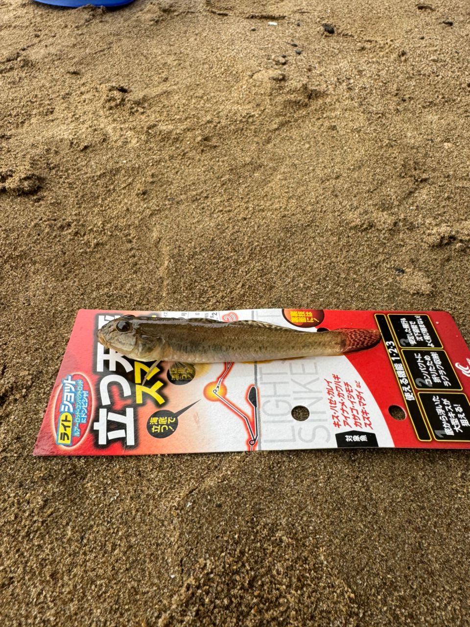 マハゼ