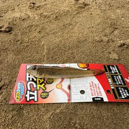 マハゼ