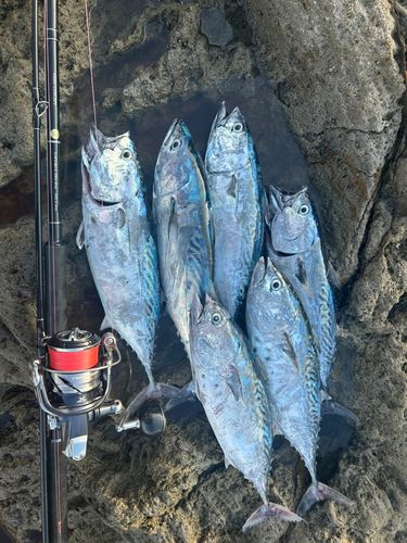 牛深湾