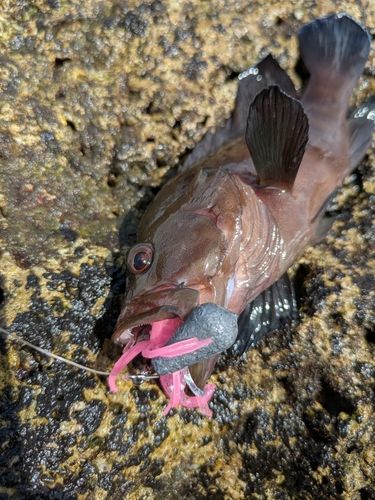 馬天湾