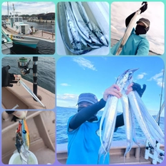 タチウオの釣果