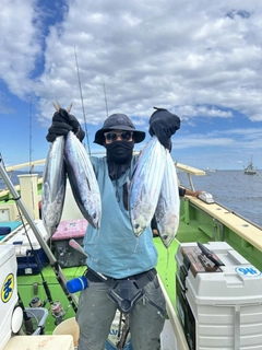 カツオの釣果