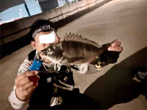 金沢水際線緑地（福浦岸壁）