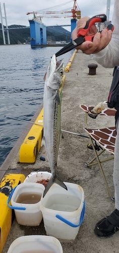 長崎湾