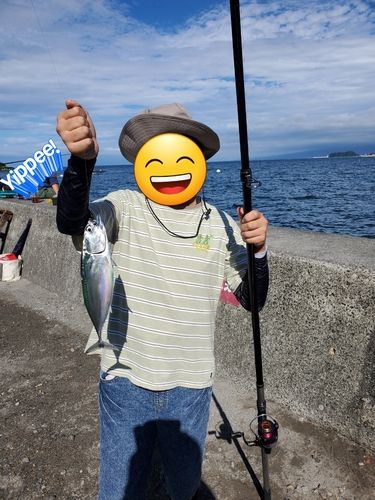 ソウダガツオの釣果