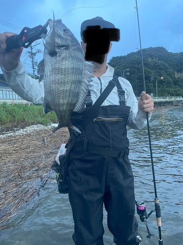 奥浜名湖