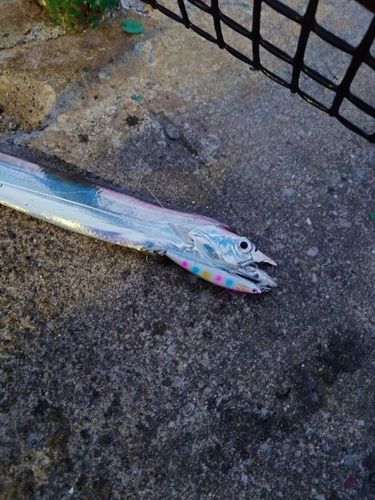 海辺つり公園