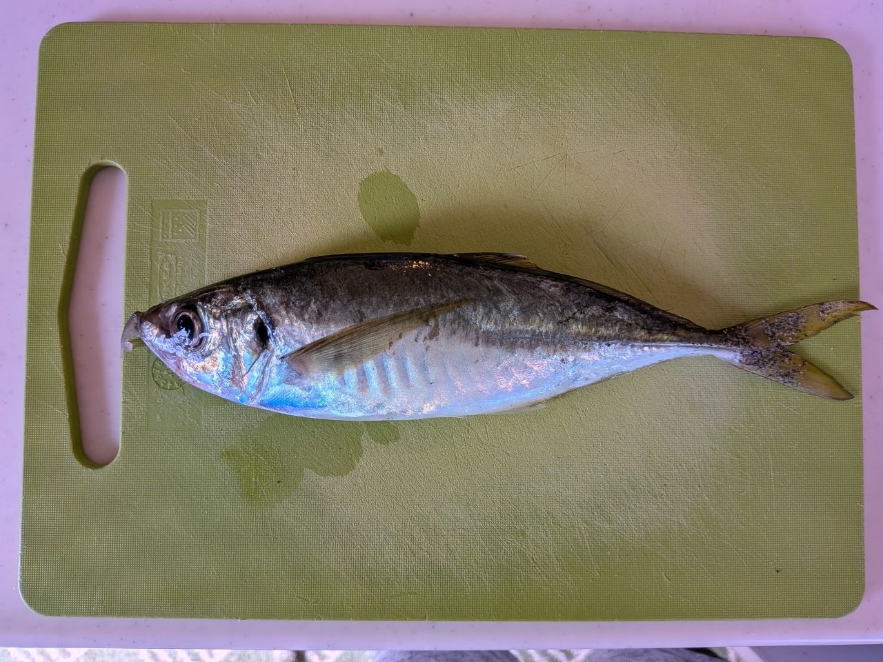 アジ