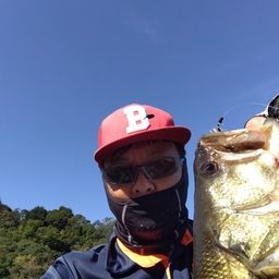 ブラックバス