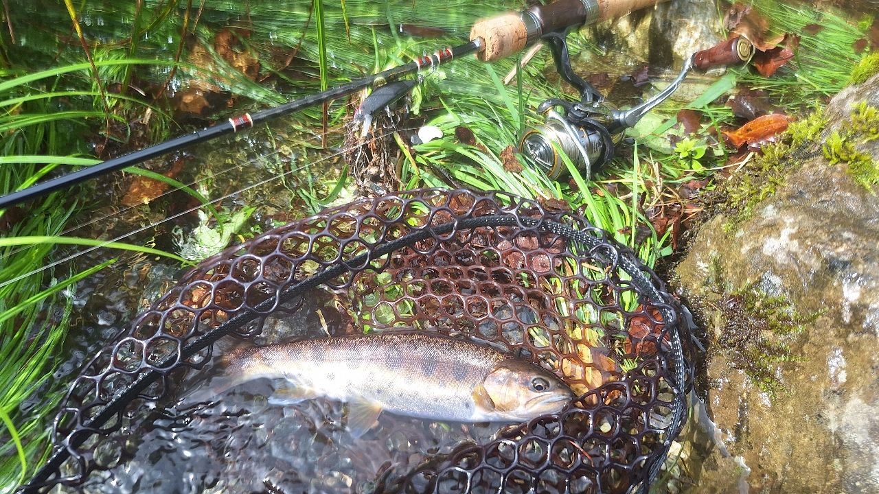 Jackson カワセミラプソディ　S52UL カワセミラプソディ | ジャクソン | Jackson | ルアー | 釣り