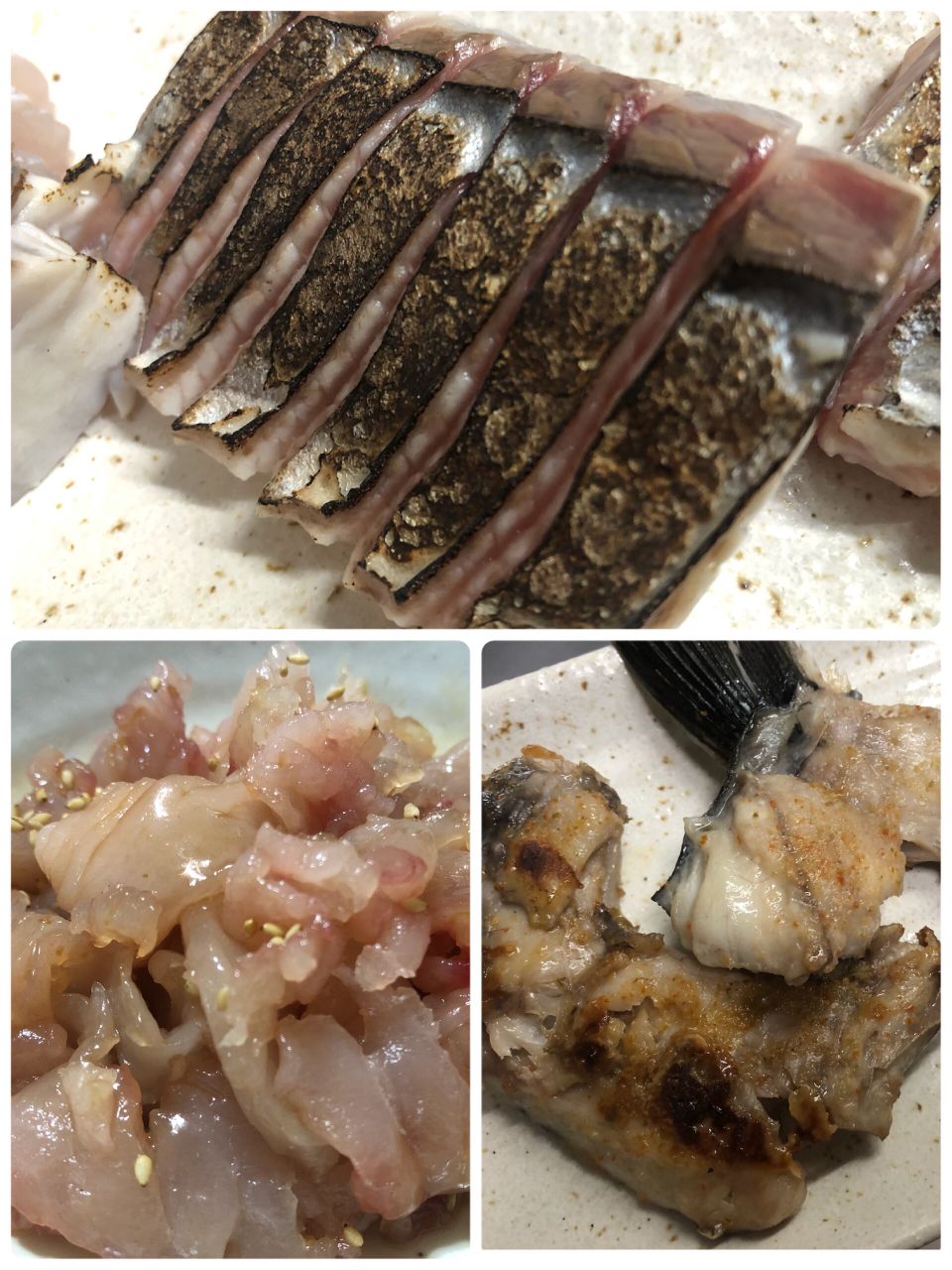 Tsuritter1972さんの釣果 2枚目の画像