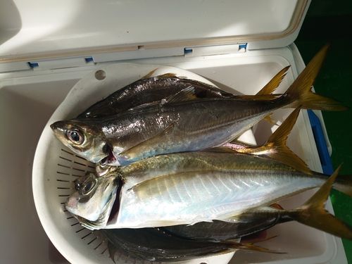 海軍施設付近