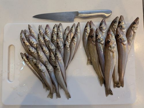 河芸漁港