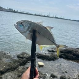 メッキ