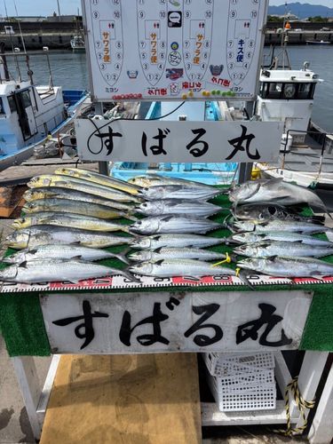 伊勢湾湾奥