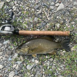 スモールマウスバス