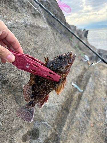 灘ヶ崎