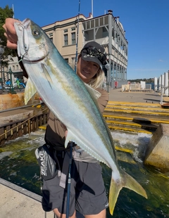 ヒラマサの釣果