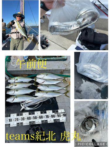 メジロの釣果