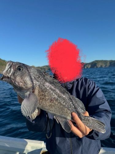 釜石湾