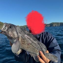 クロソイ