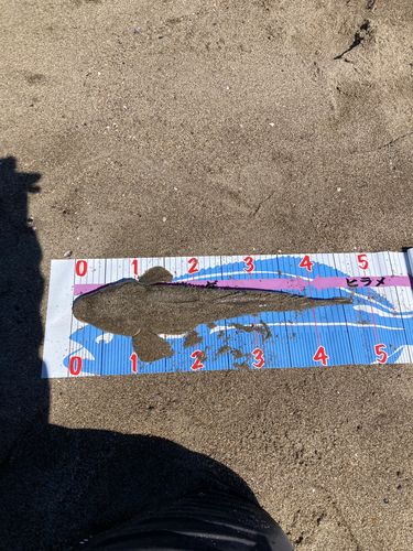 仙南サーフ