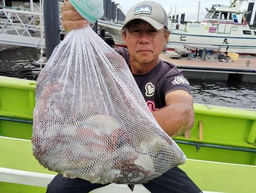 マダコの釣果