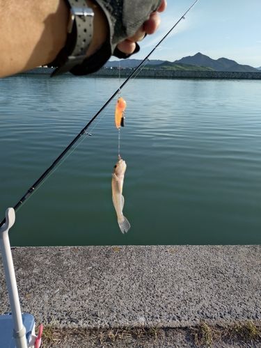 周防灘