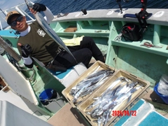 タチウオの釣果