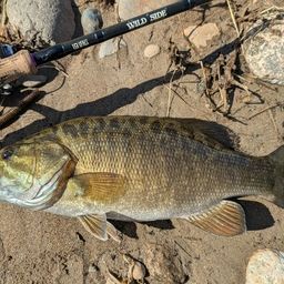 スモールマウスバス