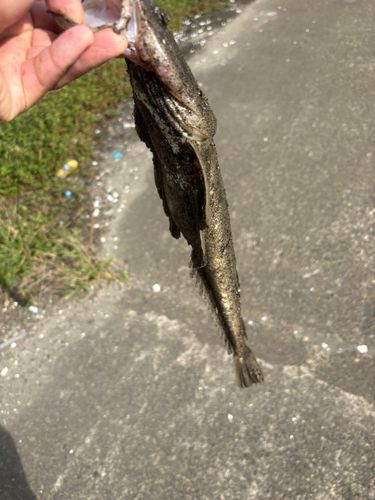 日立沖