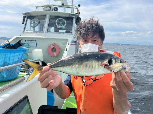 マアジの釣果