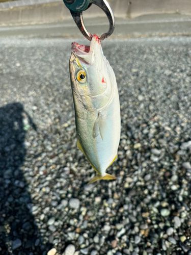 二宮海岸