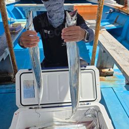 タチウオ